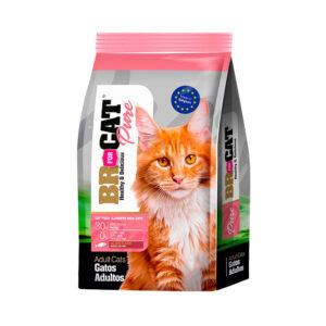 Br for cat adulto salmon x 1 kg