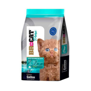 Br for cat gatitos Salmon (Azul aguamarina) x 1 kg