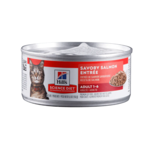 Lata hills gato adult salmón 5,5 oz
