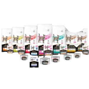 Proplan dieta medicada gato