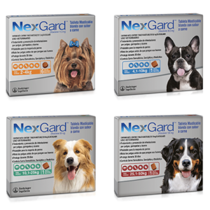 Nexgard Normal