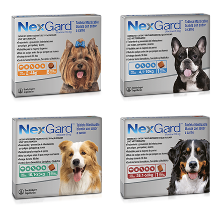 Nexgard Normal