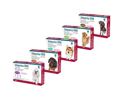 Simparica