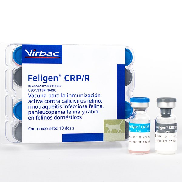 Feligen CRP vacuna (virbac)