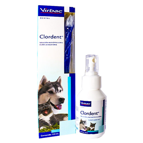 Clordent oral x 120 ml virbac