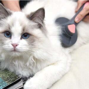 Cepillo boton cuadrado