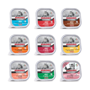 Morando Prof. Cat Pate