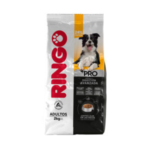 Ringo premium adulto