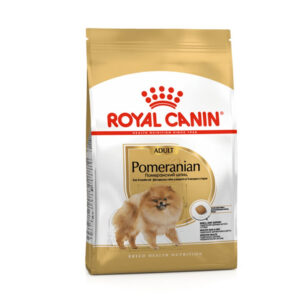 Bhn pomeranian ad 1,5 kg