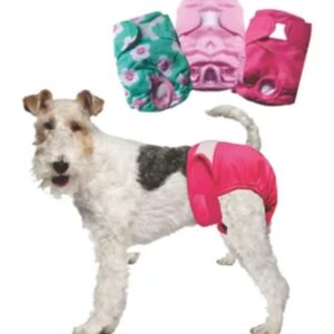 Calzón talla L para perro