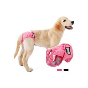 Calzón talla XS para perro